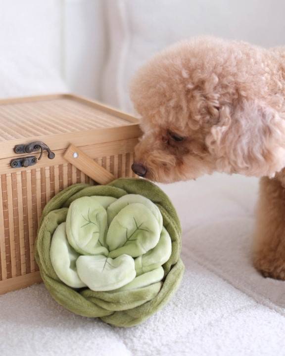 Fun and interactive Lil' Sprout cabbage snuffle dog toy for mental stimulation, perfect for Chihuahuas or Corgis.