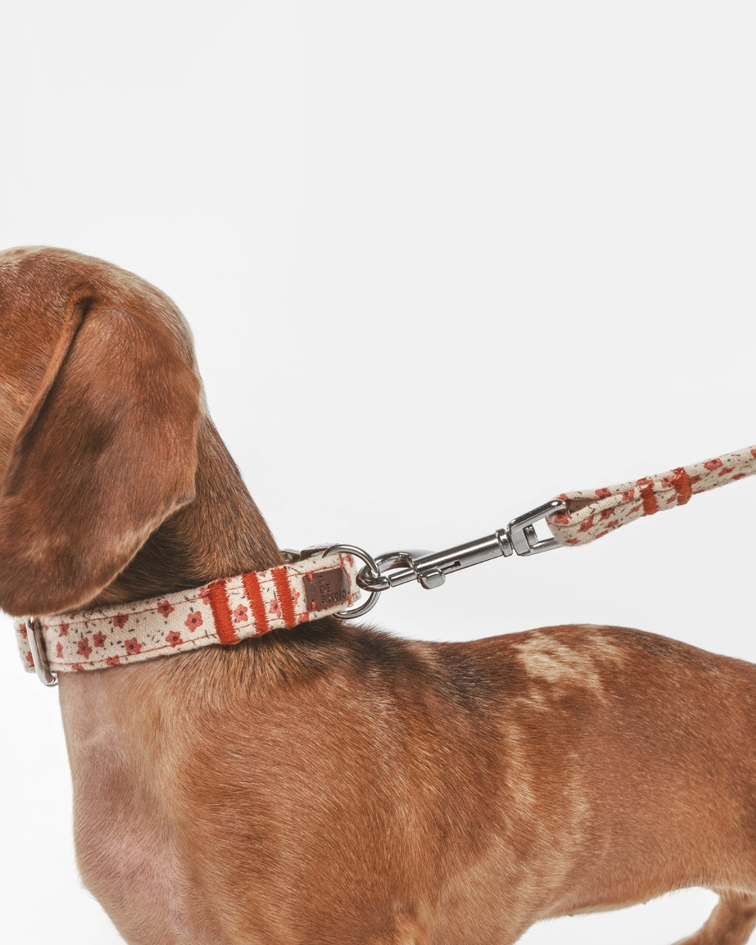 Red floral dog collar for fashionable small dogs like Dachshunds and Cavalier King Charles Spaniels.