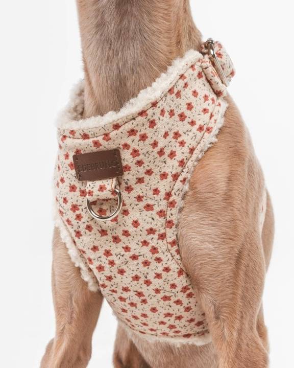 In Bloom floral dog harness designed for medium-sized dogs such as Beagles and Schnauzers.