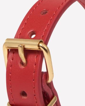 Stylish red leather dog collar with heart-shaped studs, adding a loveable and chic vibe to your dog’s outfit.