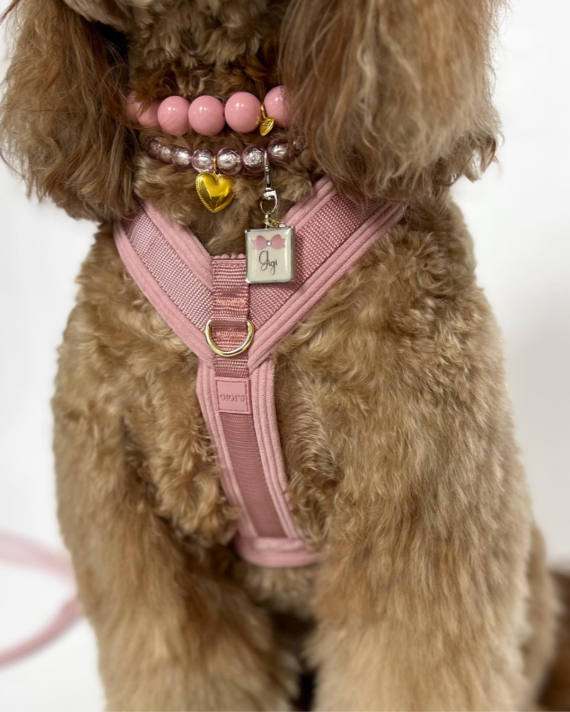 Sunday Stroll Rose Dog Harness