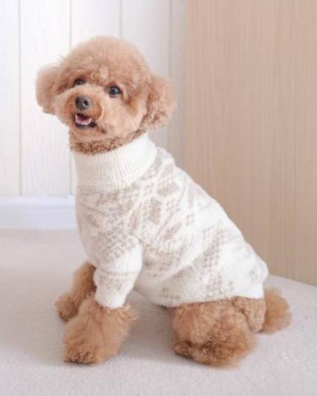 Stylish Fair Isle winter dog sweater for small breeds, perfect for Chihuahuas or Doodles.