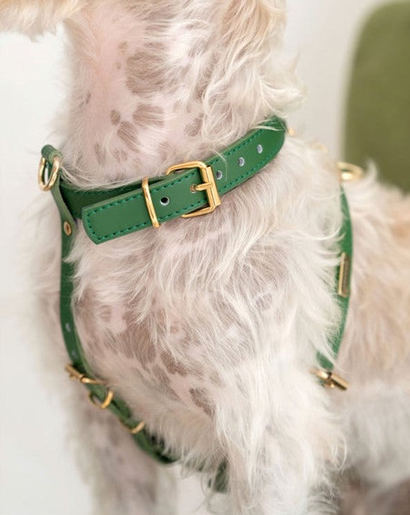 Palermo Green Leather Dog Harness
