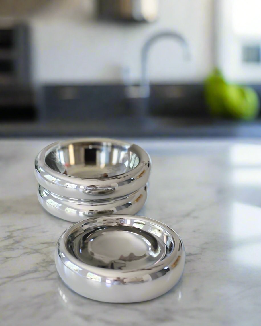 Modern Muse Pet Bowl Set in Chrome