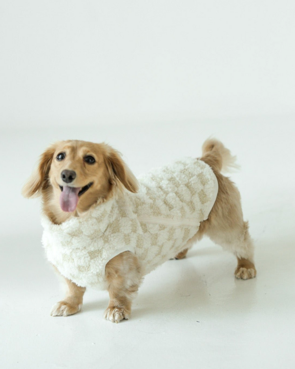 Stylish Check Please ivory dog vest with modern patterns, perfect for Yorkies or French Bulldogs.