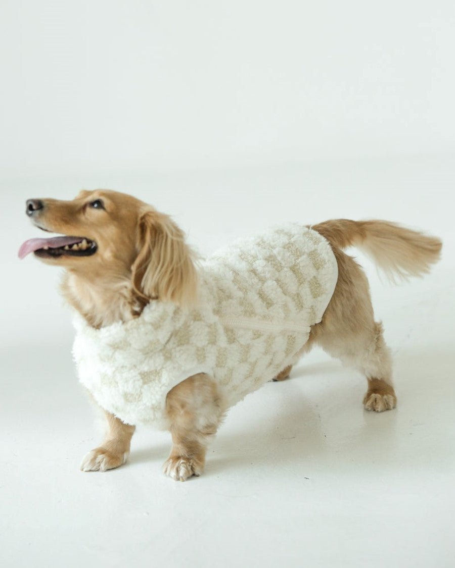 Lightweight checkered dog vest with chic designs, perfect for Doodles or Yorkies.