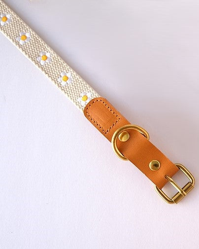 Daisy-patterned dog collar in white, ideal for fresh and vibrant pet accessories