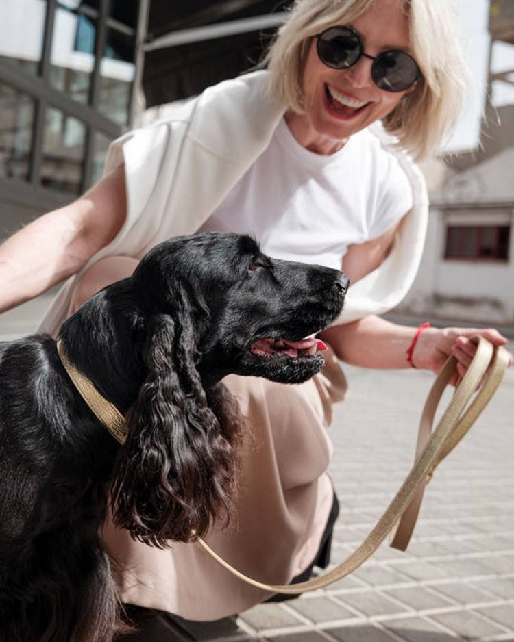 Elegant gold leather collar for pets, a chic accessory for your dog.