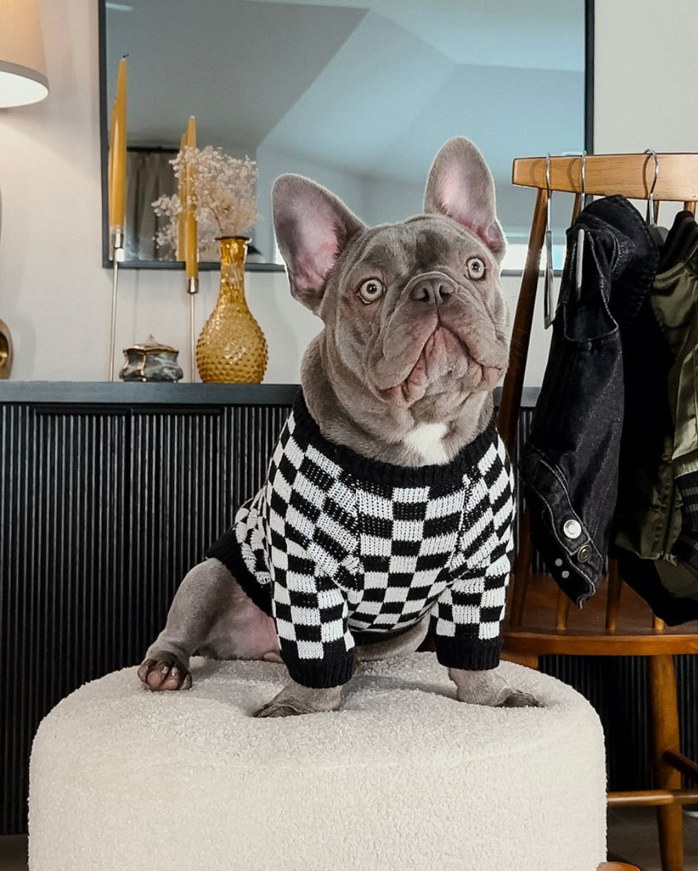 Arlo Black Check Sweater Product Image Detail. frenchie puppy sweater 