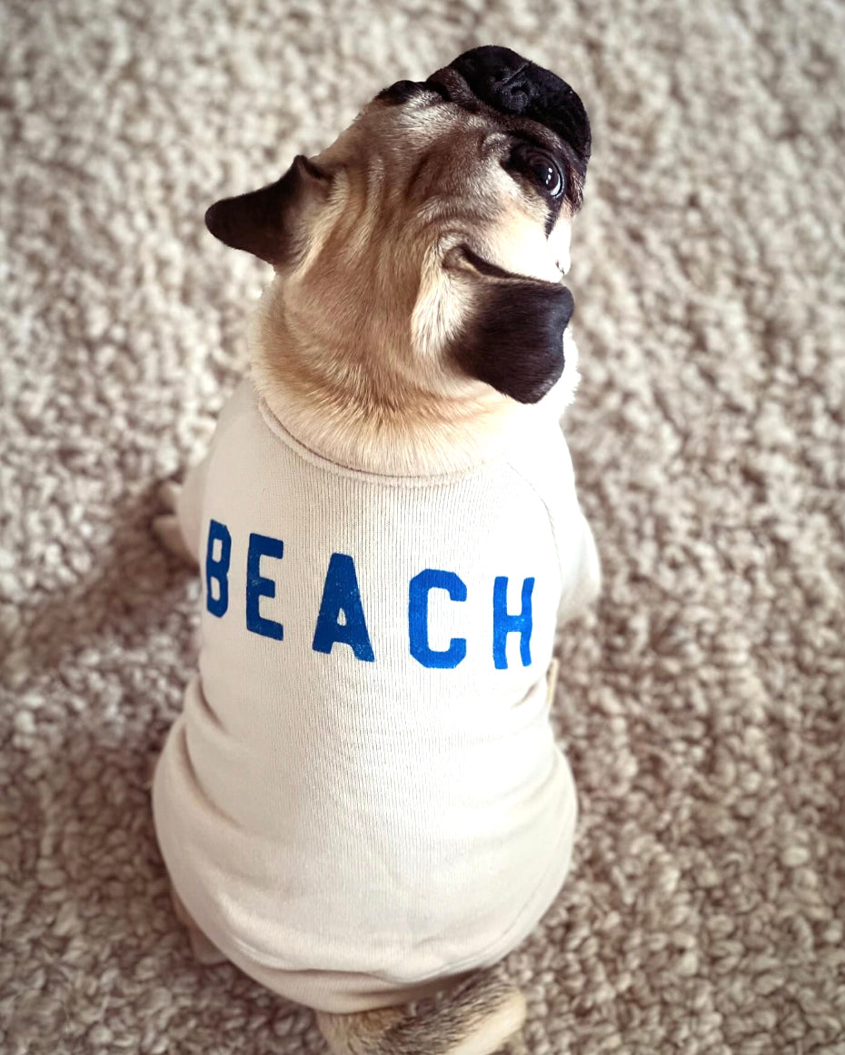 Beach Baby Dog Sweatshirt beagle clothes for humans