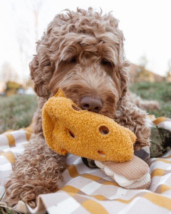 Fromage With Love Cheese Dog Toy