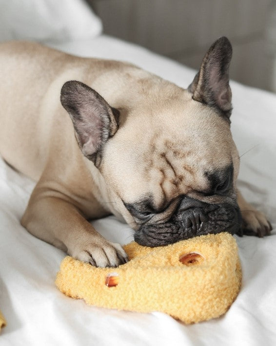 Fromage With Love Cheese Dog Toy