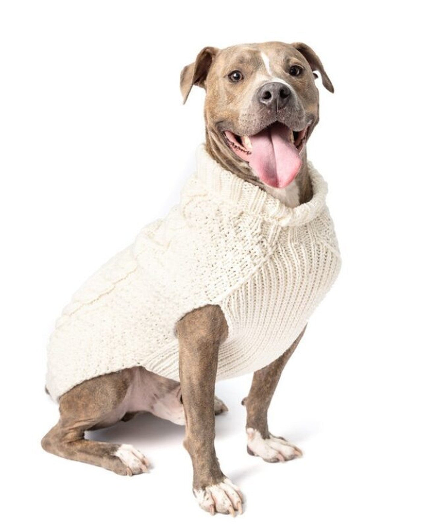 Cabin Cutie Ivory Cable Knit Dog Sweater