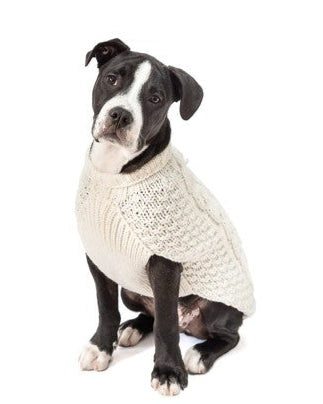 Cabin Cutie Ivory Cable Knit Dog Sweater