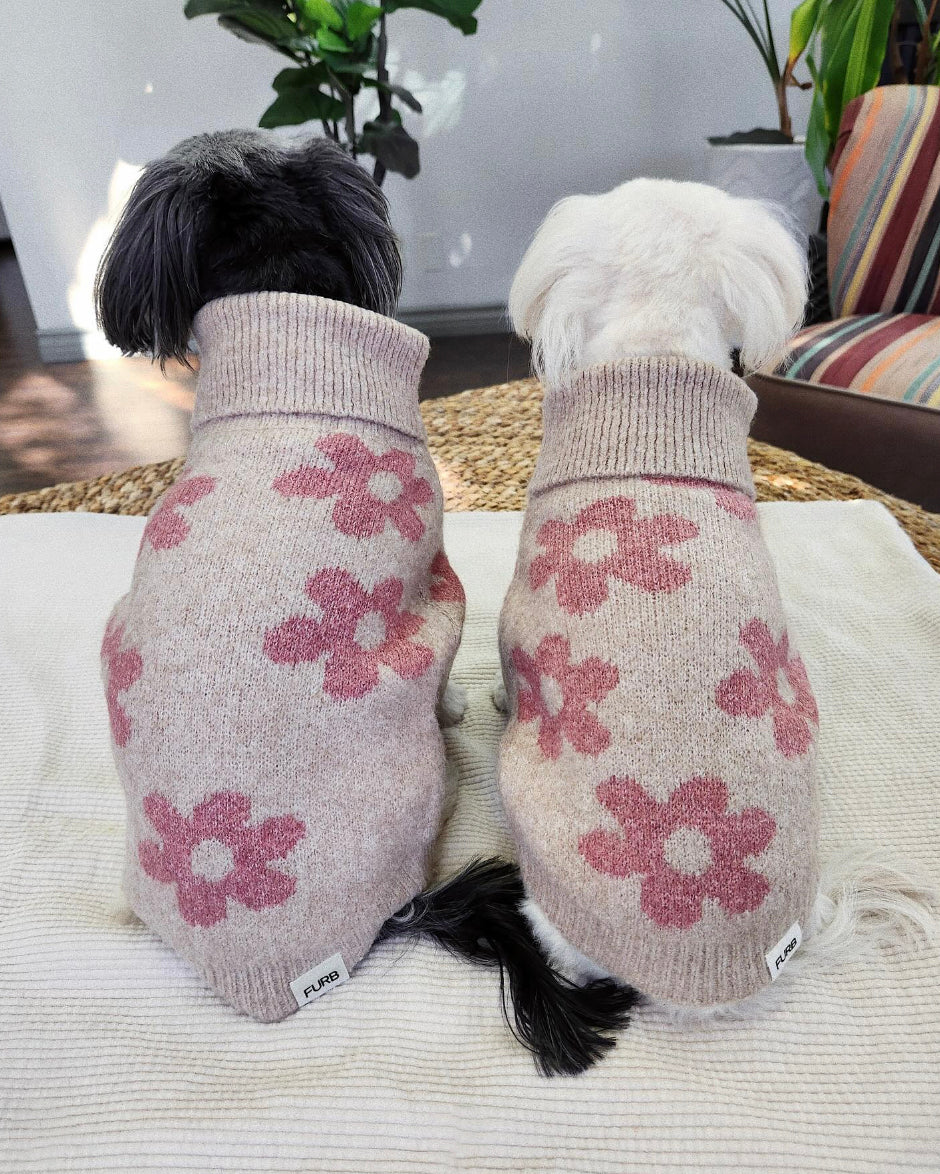 floral dog sweater. pug life sweater 