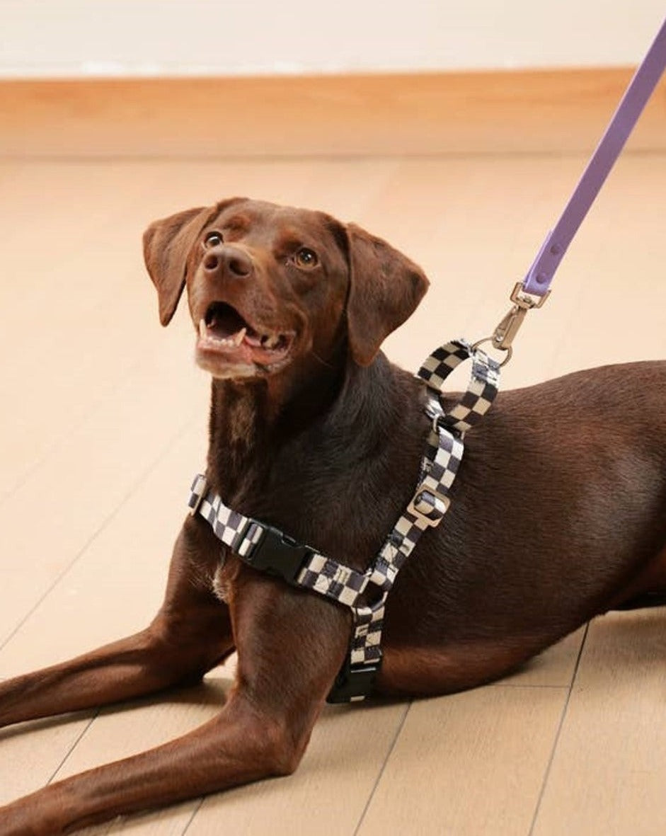 black and cream checkered dog harness