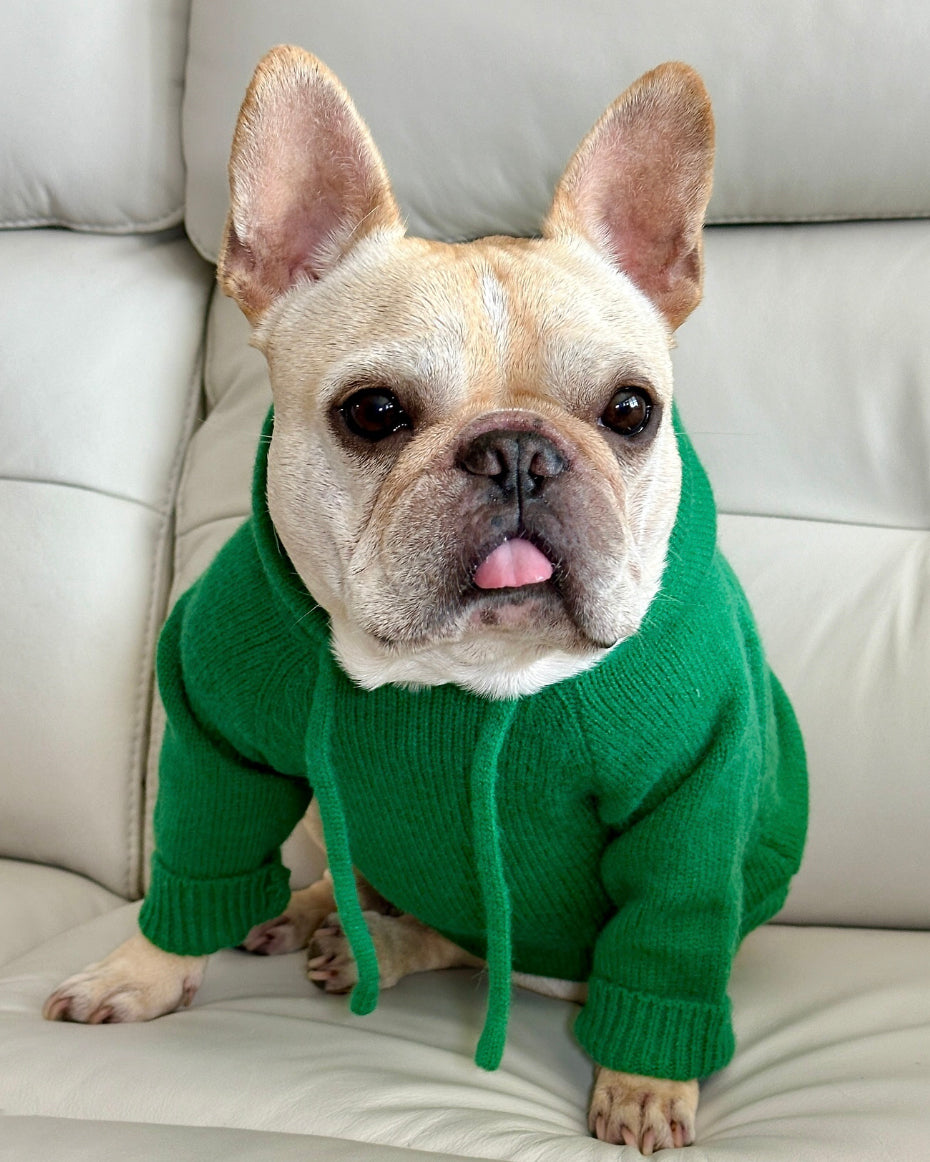 Milan Green Dog Hoodie cute frenchie clothes