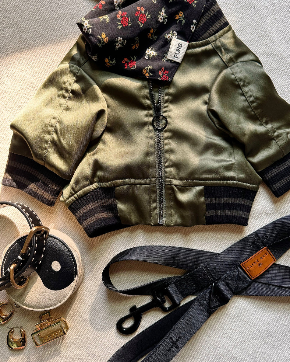 A modern take on a retro classic. Buttery-soft olive green satin practically melts over your pup, with ribbed cuffs and hem, detailed with coordinating green and black stripes. Accented with a chic pewter O-ring pull. . Bichon bomber jacket. 