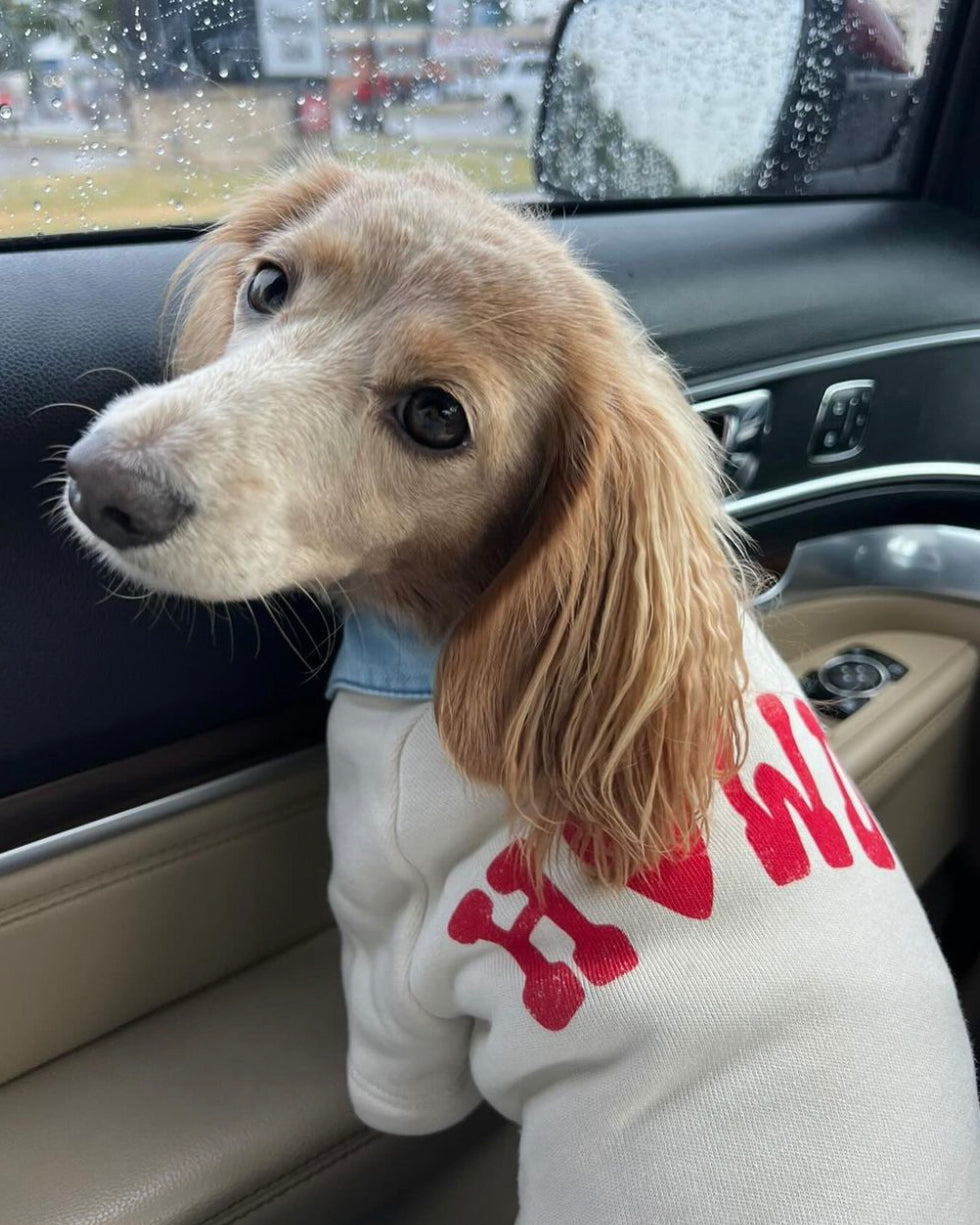 Howdy Pawtner Dog Sweatshirt beagle wearing clothes