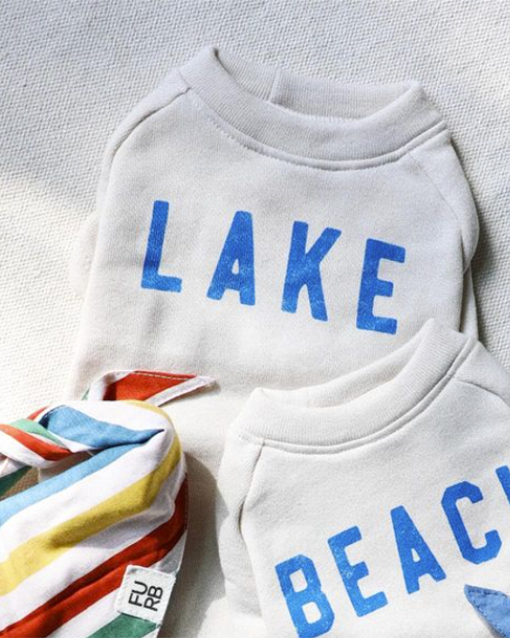 Lake Day Dog Sweatshirt