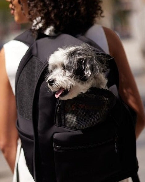 Go Everywhere Backpack Carrier For Dogs Black