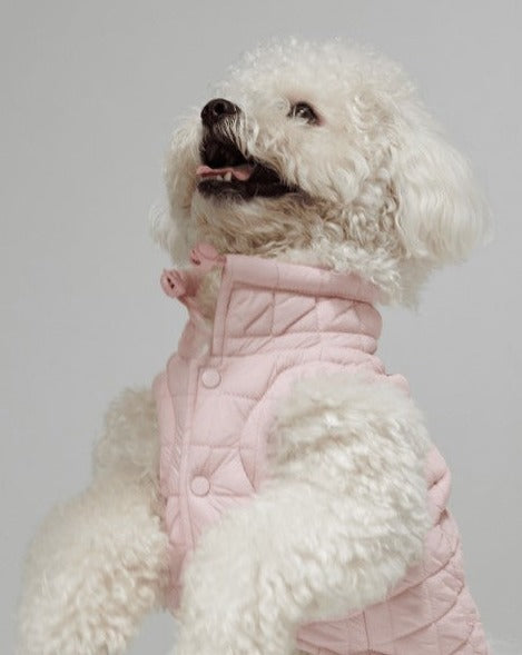 maxbone Easy Fit Jacket in Light Pink. French bulldog pink jacket.