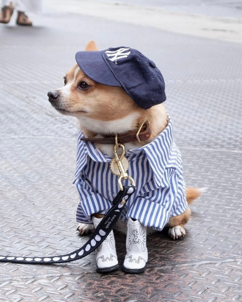 Stylish blue-striped dog shirt, great for casual outings or beach days.