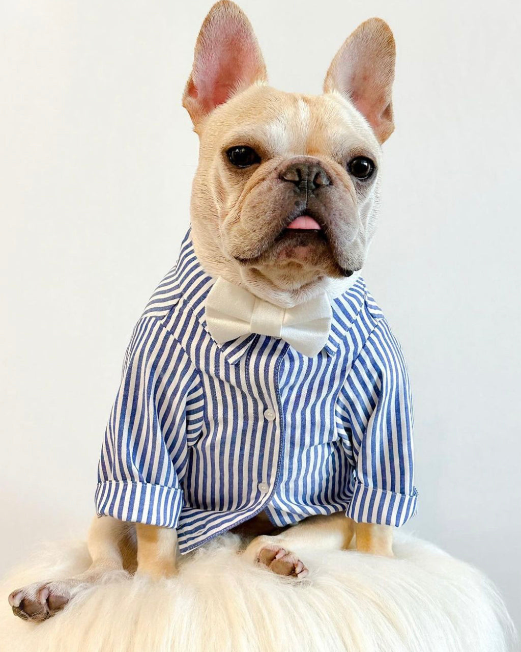 Nantucket Blue + White Striped Button Up