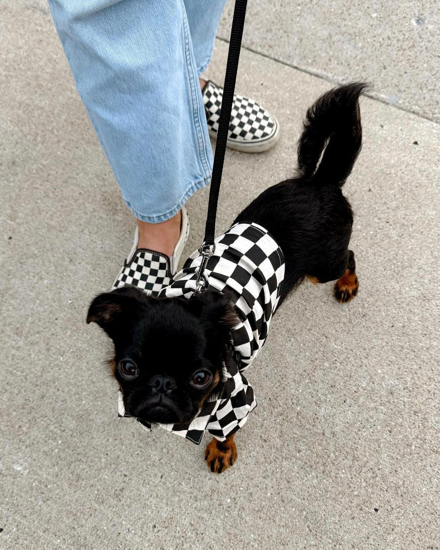 Ryder Black Check Dog Shirt Product Image Detail