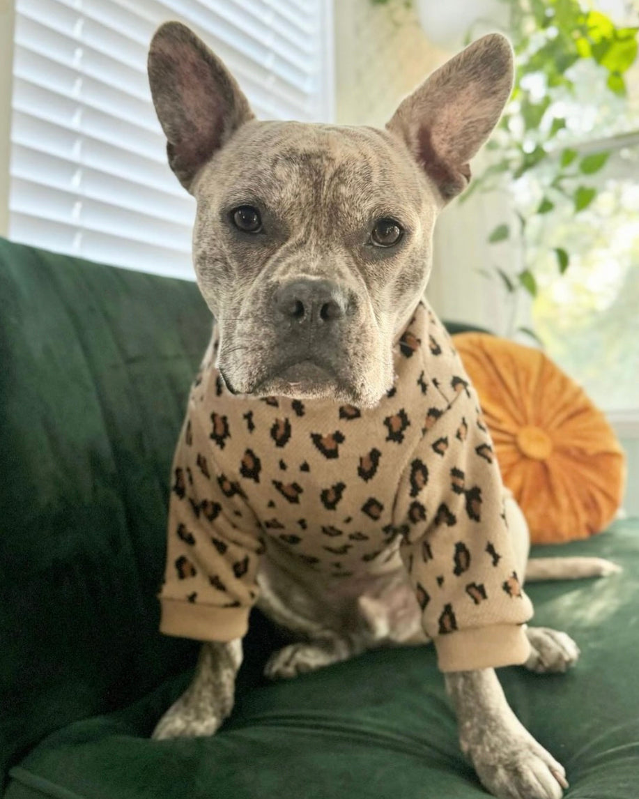 tan leopard print dog crewneck sweatshirt