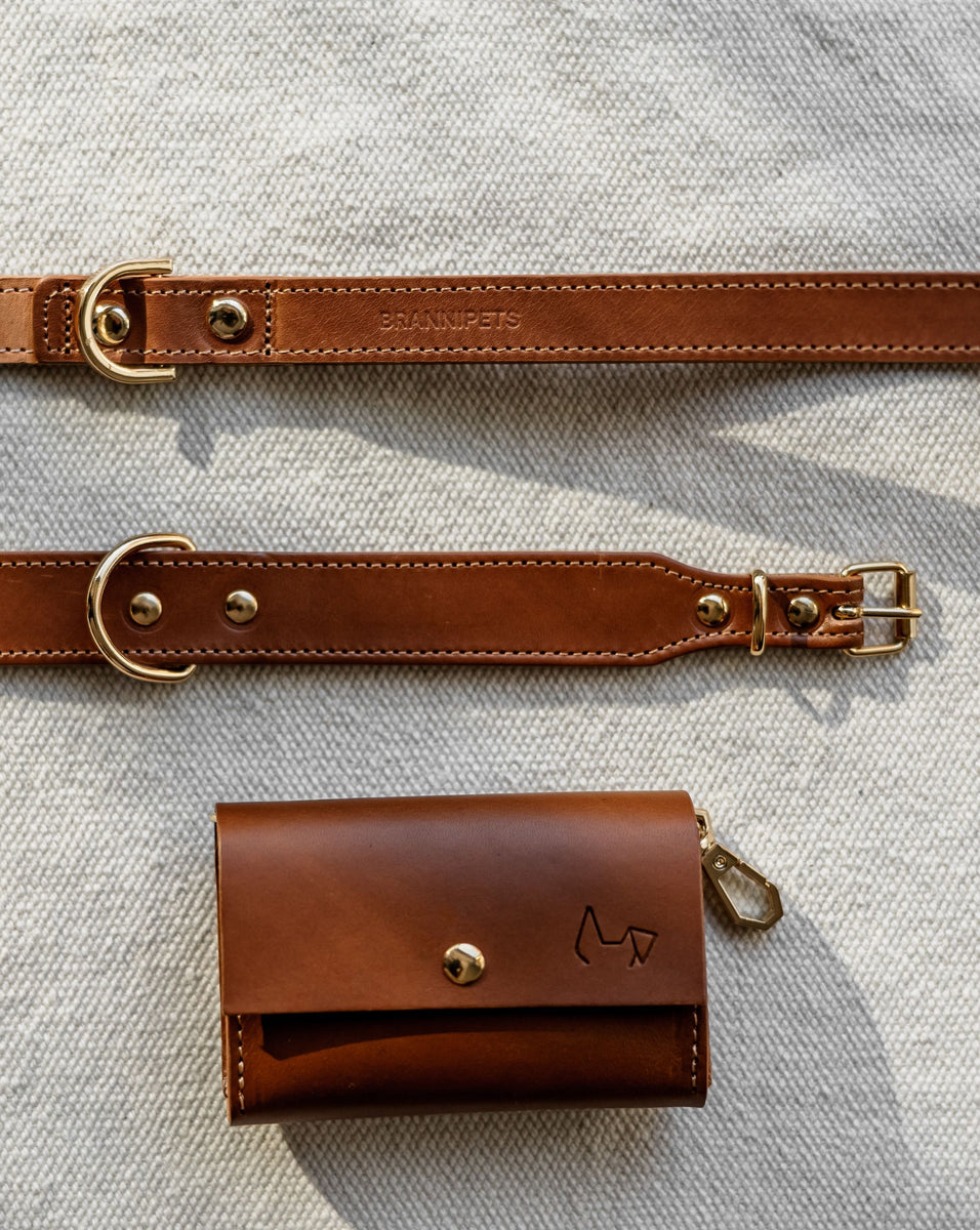 BRANNI, Small Dog Collar in Cognac Leather (Made in Italy)