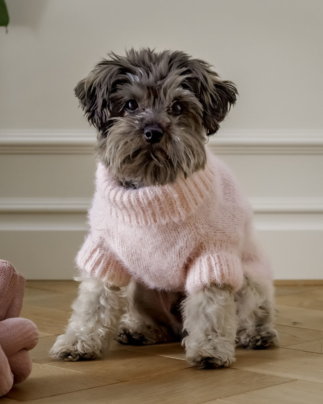 Cute Dog Sweaters FURB Where Fashion Meets Fur